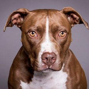 Meet your Posher, Teria